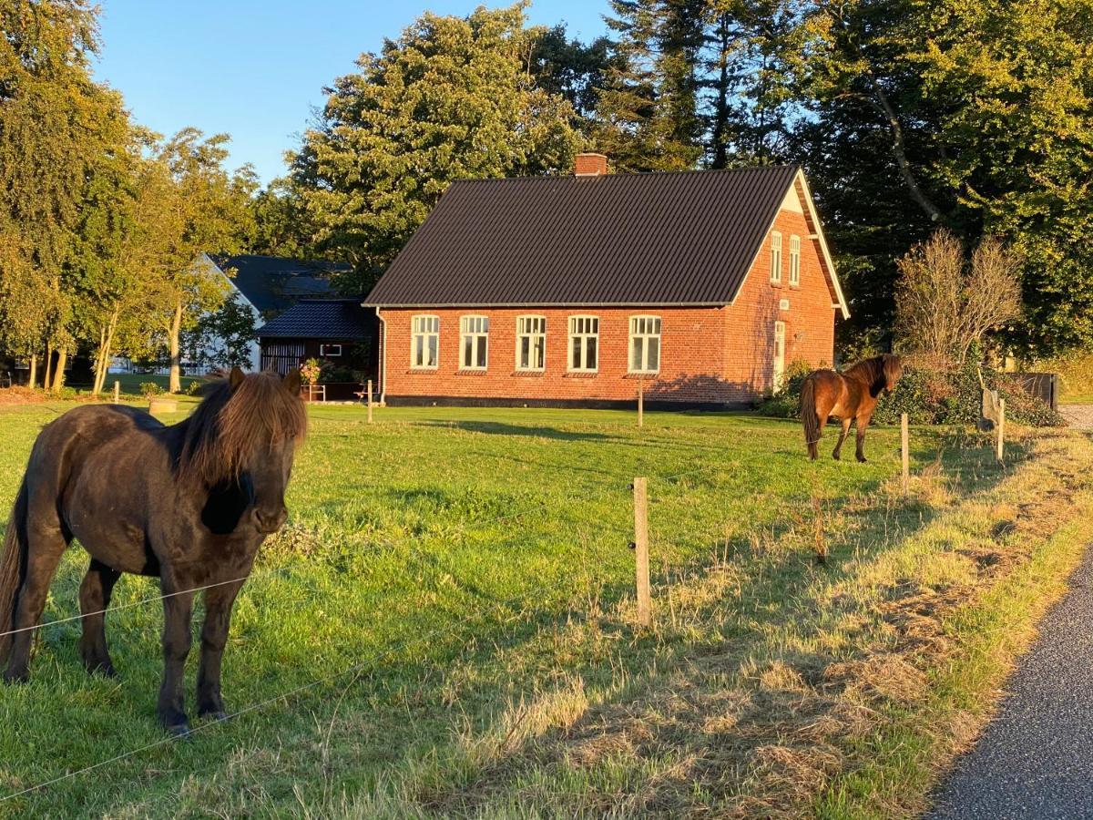 Villa Hyggelig Aftaegtsbolig I Hjertet Af Sonderjylland Branderup Esterno foto