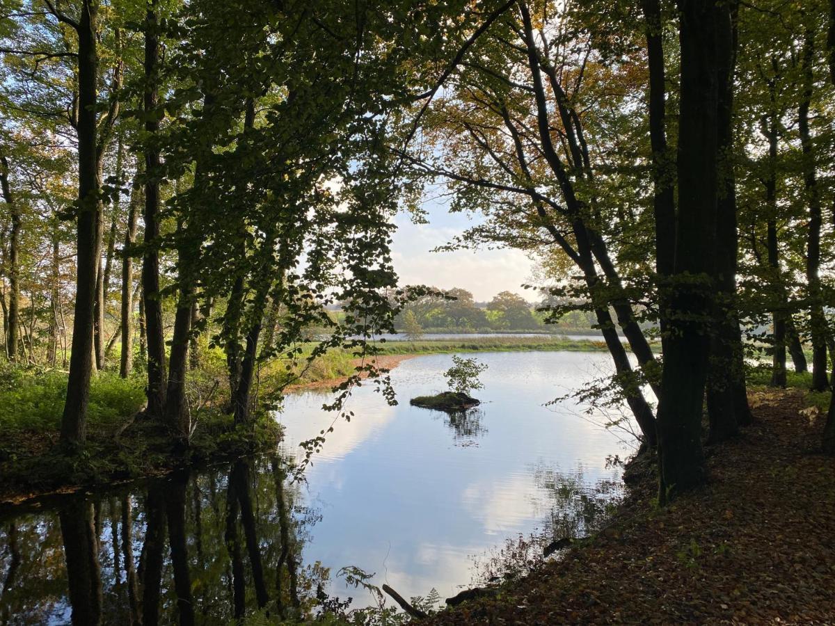 Villa Hyggelig Aftaegtsbolig I Hjertet Af Sonderjylland Branderup Esterno foto
