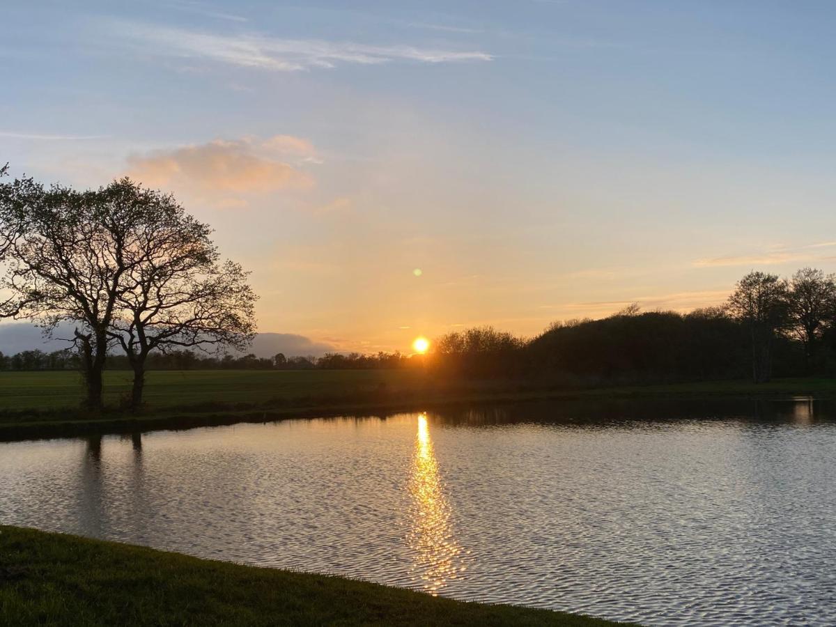 Villa Hyggelig Aftaegtsbolig I Hjertet Af Sonderjylland Branderup Esterno foto